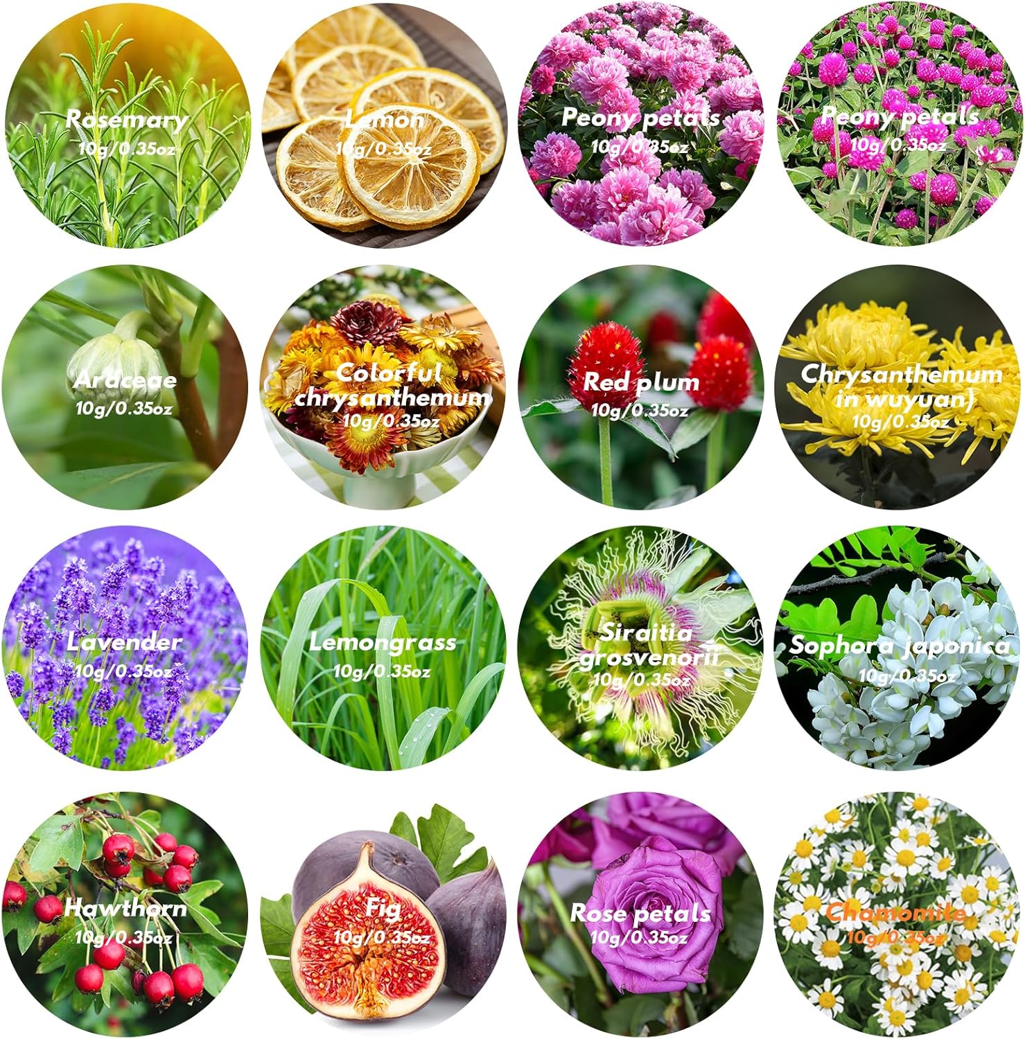 16 Bags Dried Flowers - Natural Dried Herbs Kit for Soap Making, DIY Candle, Resin Jewelry Making, Bath, Witch - Bulk Flowers Include Rose Petals, Lavender, Lemon, Don't Forget Me, Rosemary, and More - Image 2