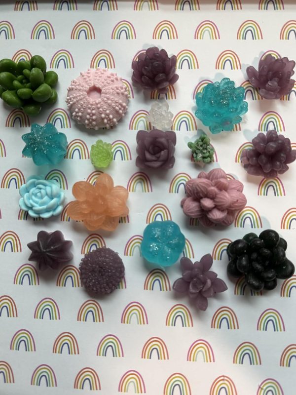Handmade Succulent Flower Soap Set, Shea Butter with Vitamin E, multiple color and scents.