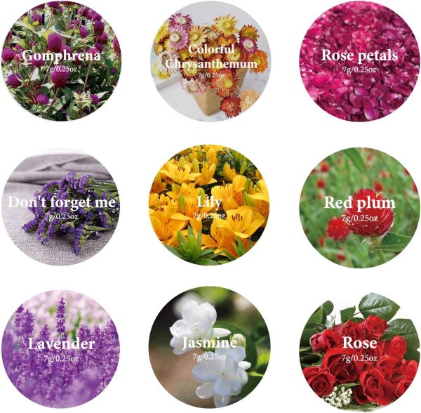 9 Bags Dried Flowers,100% Natural Dried Flowers Herbs Kit for Soap Making, DIY Candle Making,Bath - Include Rose Petals,Lavender,Don't Forget Me,Lilium,Jasmine,Rosebudsand More - Image 2